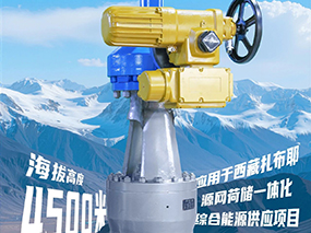 4500米！良固閥門集團(tuán)服務(wù)全球海拔最高的光熱電站