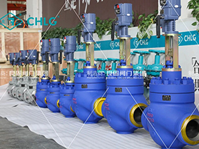 良固閥門開(kāi)拓非洲能源新藍(lán)海，誠(chéng)邀全球合作伙伴共襄綠色未來(lái)